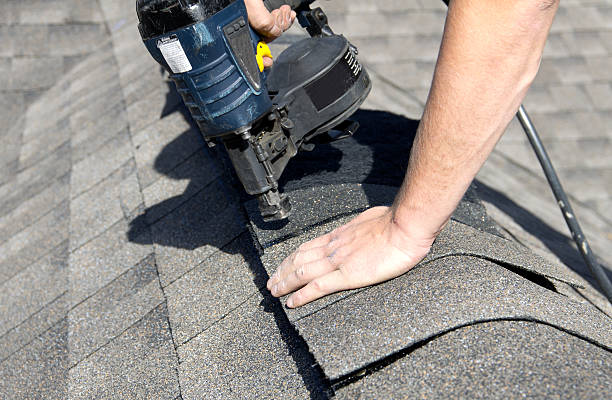 Best Asphalt Shingle Roofing  in Middleburg, FL