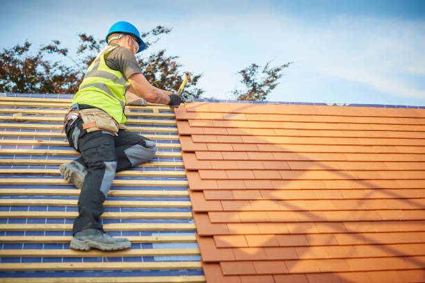 Best Skylights  in Middleburg, FL